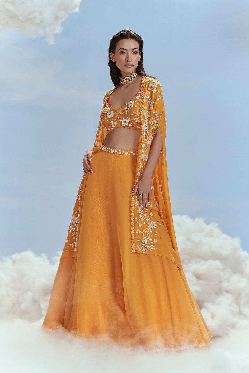 FS/100 - Babylon Cape Lehenga Set