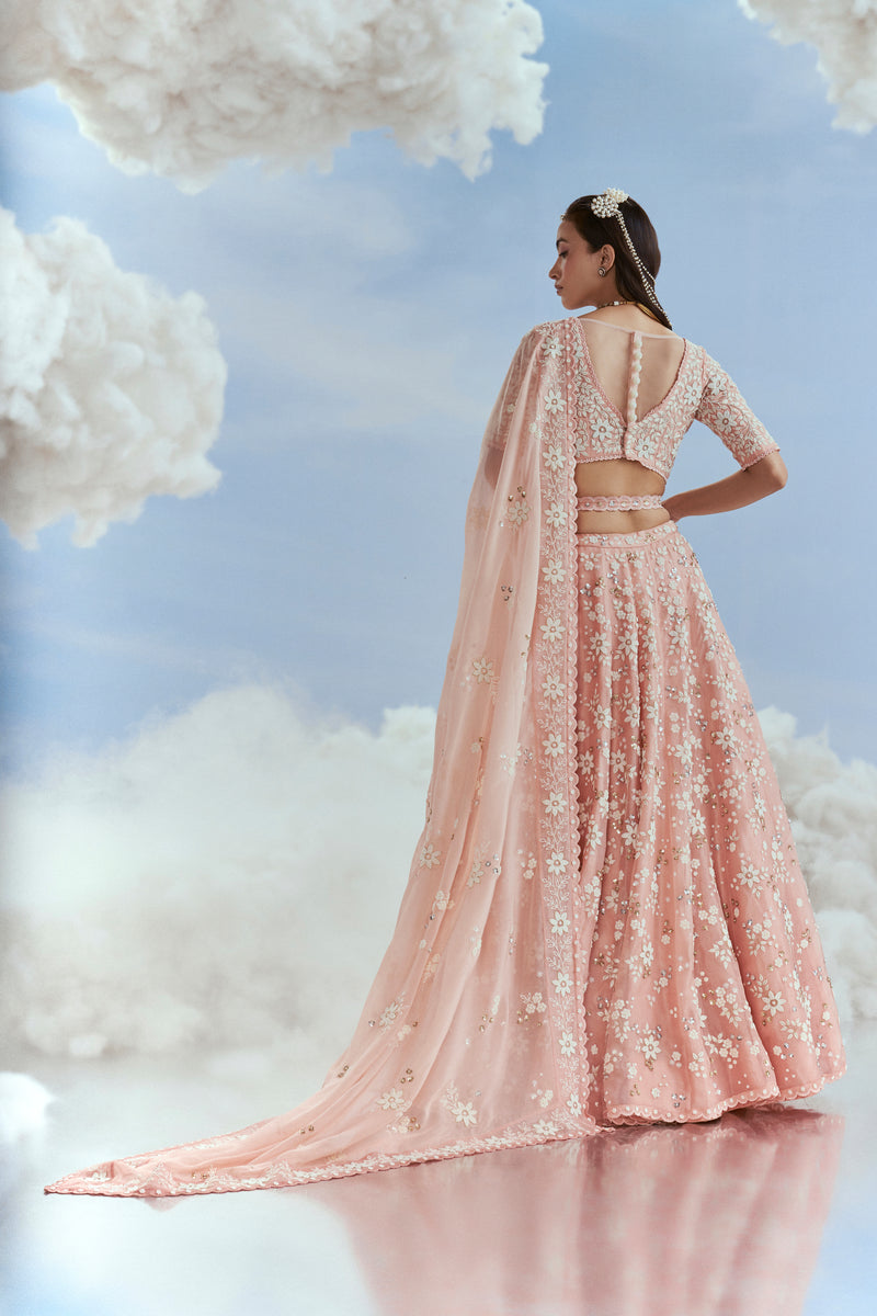 Babylon Kalidar Lehenga set