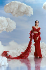 R/36 - Scallop Edged Ruffle Saree with Astral Applique Blouse