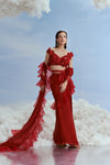 R/36 - Scallop Edged Ruffle Saree with Astral Applique Blouse
